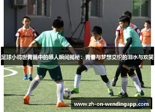 足球小将世青篇中的感人瞬间揭秘：青春与梦想交织的泪水与欢笑