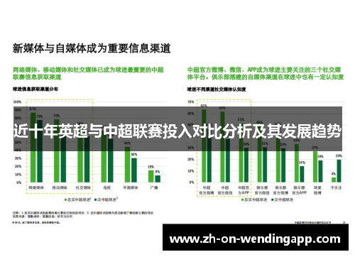 近十年英超与中超联赛投入对比分析及其发展趋势