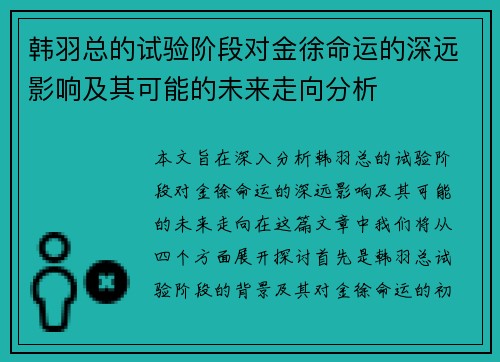 韩羽总的试验阶段对金徐命运的深远影响及其可能的未来走向分析