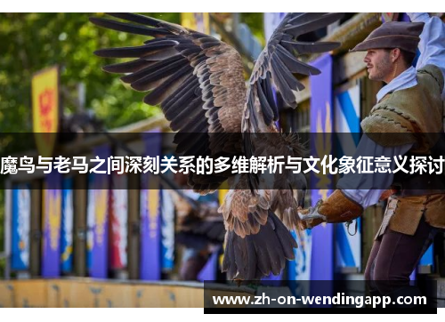 魔鸟与老马之间深刻关系的多维解析与文化象征意义探讨