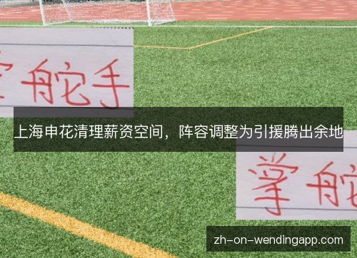 上海申花清理薪资空间,阵容调整为引援腾出余地 上海申花清理薪资空间,阵容调整为引援腾出余地